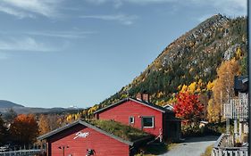 Skoogs Krog och Logi